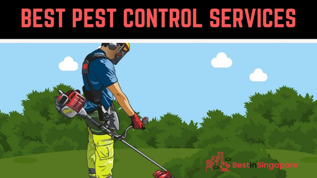 The 16 Best Pest Control Companies in Singapore [Updated ...