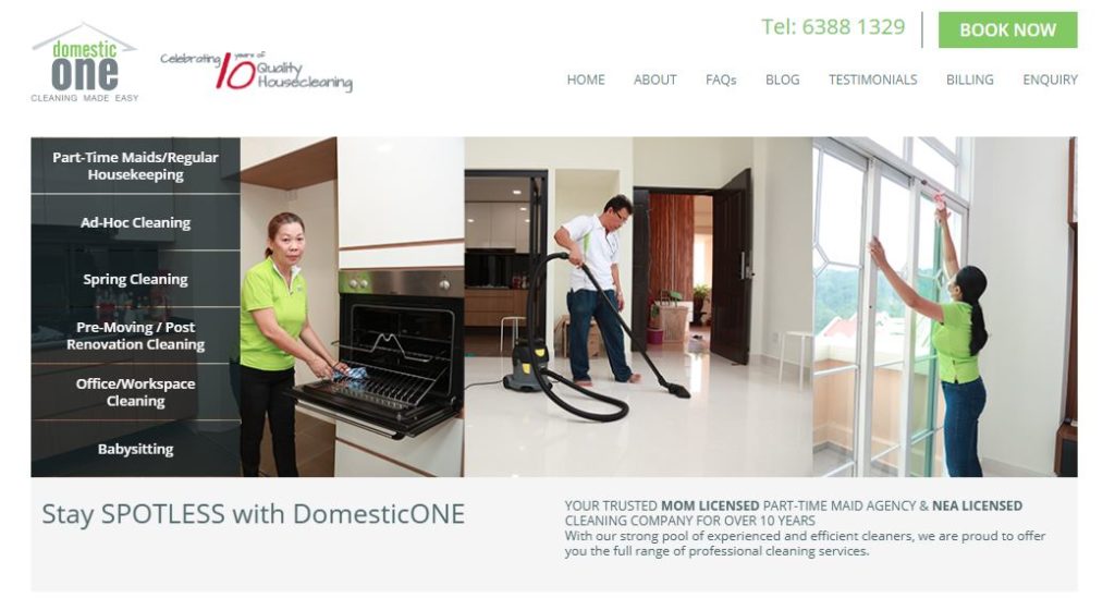 domesticone