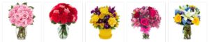FLOWER ADVISOR's Flowers