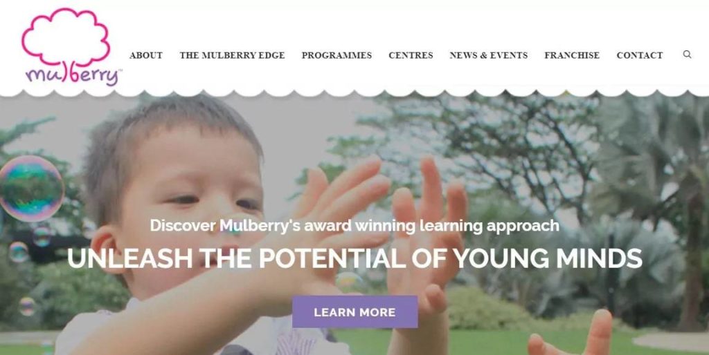 Mulberry Learning's Homepage