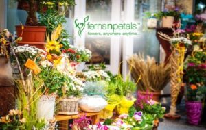 Ferns N Petals' Logo