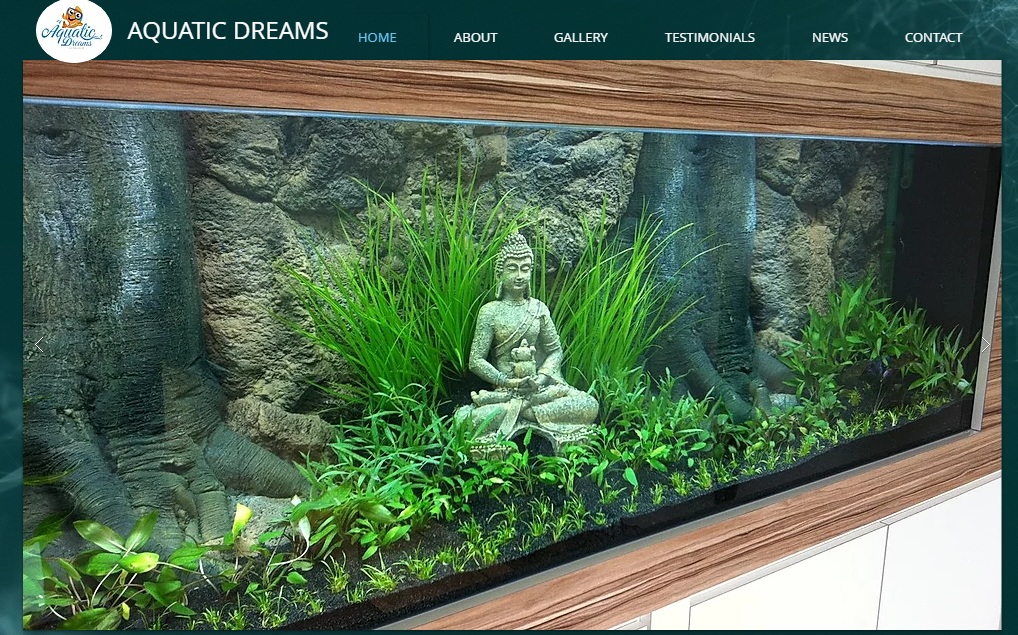 fish tank accessories online