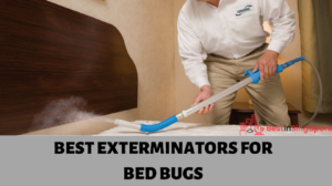 Best Exterminators Bed Bugs Singapore