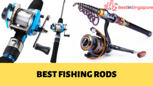 Best Fishing Rods in Singapore