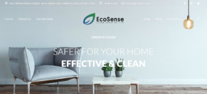 EcoSense's Homepage