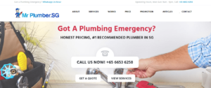 Mr Plumber SG's Homepage