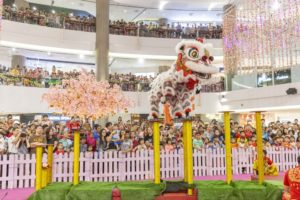 Singapore Wei Eng Dragon & Lion Dance Centre' Lion Dance