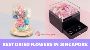 Best Dried Flowers in Singapore