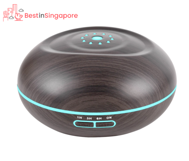 Homlly Ova Aroma Humidifier