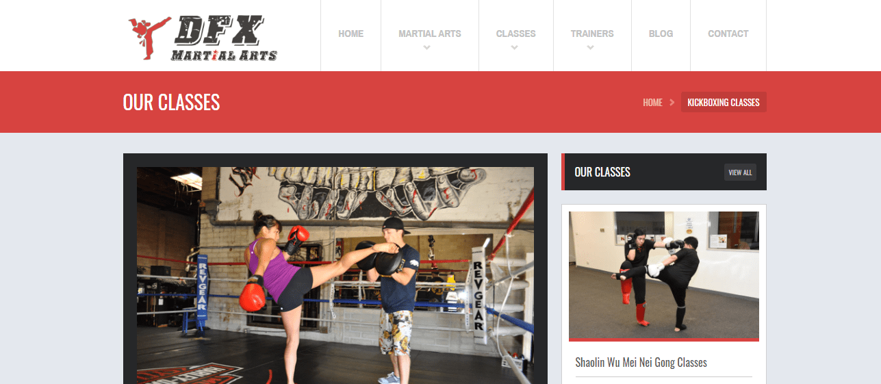 DFX Martial Arts' Homepage