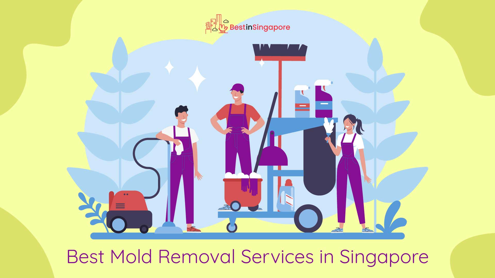 Best Mold Removal Singapore