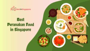 Best Peranakan Food in Singapore