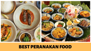 Best Peranakan Food in Singapore