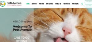 Pets Avenue's Homepage
