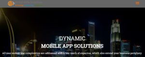 Octal Info Solution's Homepage