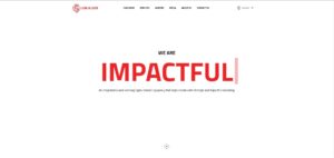 Lion & Lion Digital Marketing's Homepage