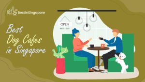 Best Dog Cafes in Singapore