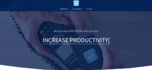 SkyBiz' Homepage