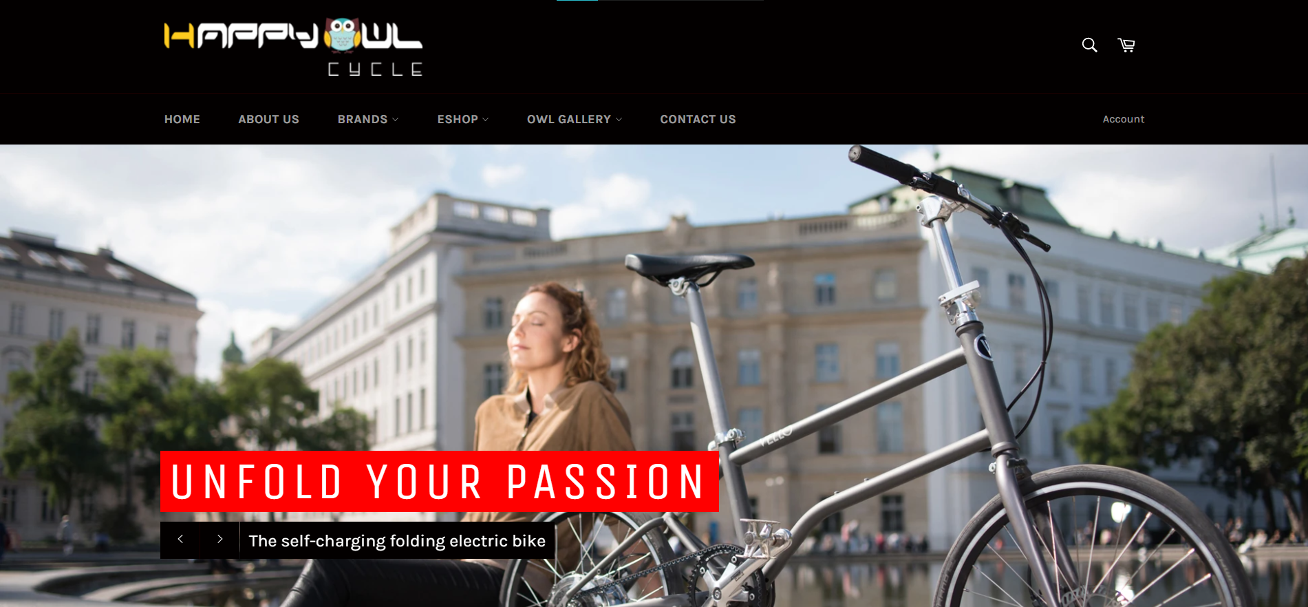 premium cycle brands