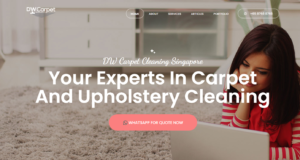 DW Carpet Cleaning' Homepage