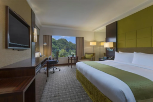 Holiday Inn Orchard City Centre