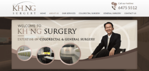 Dr. Ng Kheng Hong's Homepage