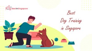 Best Dog Training in Singapore