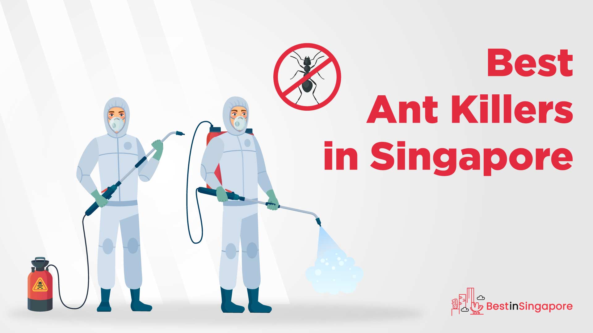 Best Ant Killers in Singapore