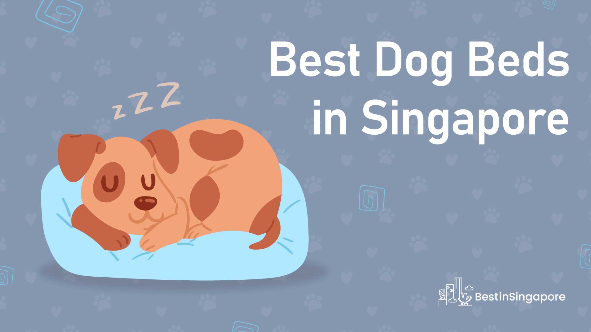 Best Dog Beds in Singapore