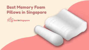 Best Memory Froam Pillows in Singapore