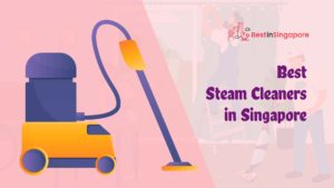 Best Steam Cleaners in Singapore