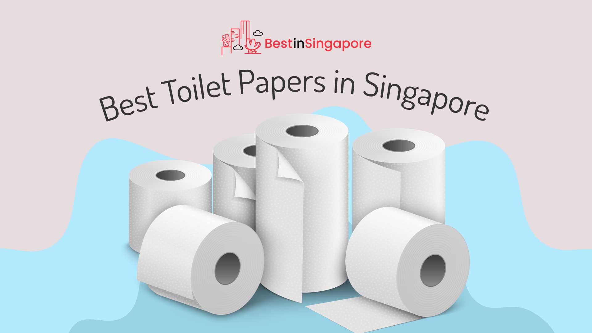 Best Toilet Papers in Singapore