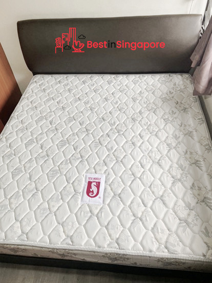 Seahorse Hard Foam Mattress