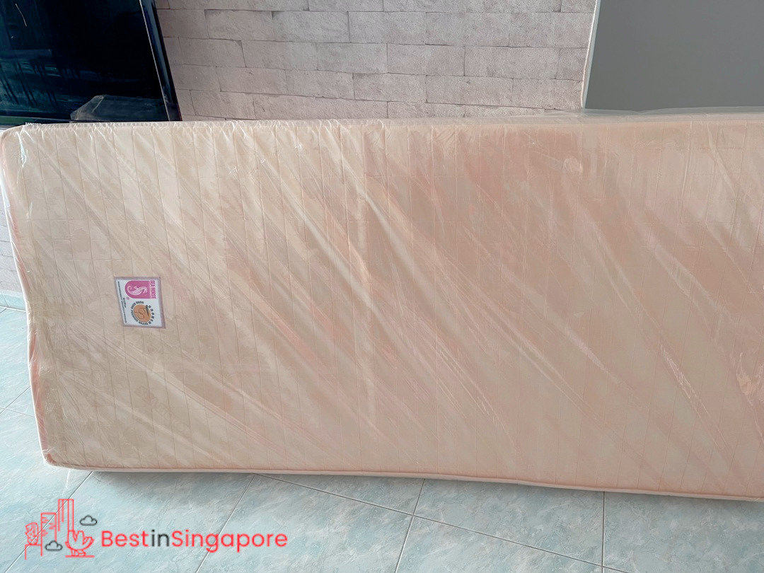 Seahorse Foam Mattress (4 Inches)