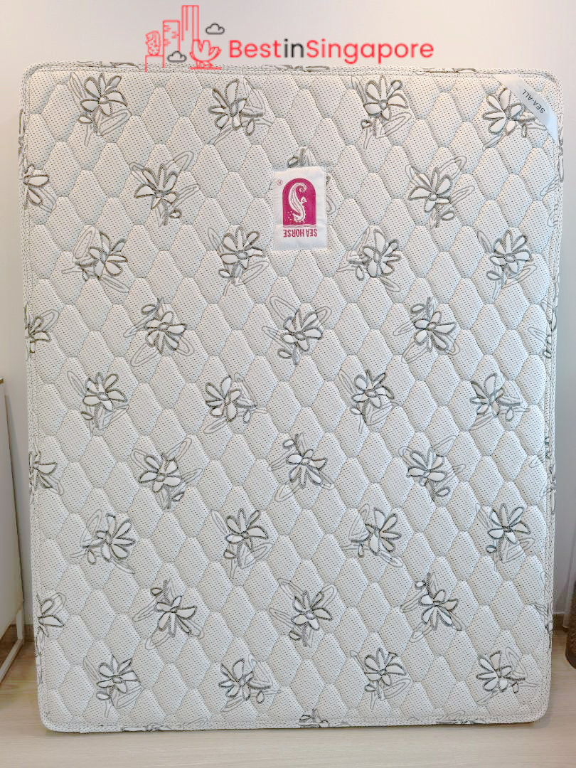 Sea Horse SEA ALL Foam Mattress!