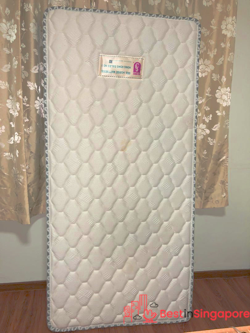 Seahorse Comfort Foam Mattress