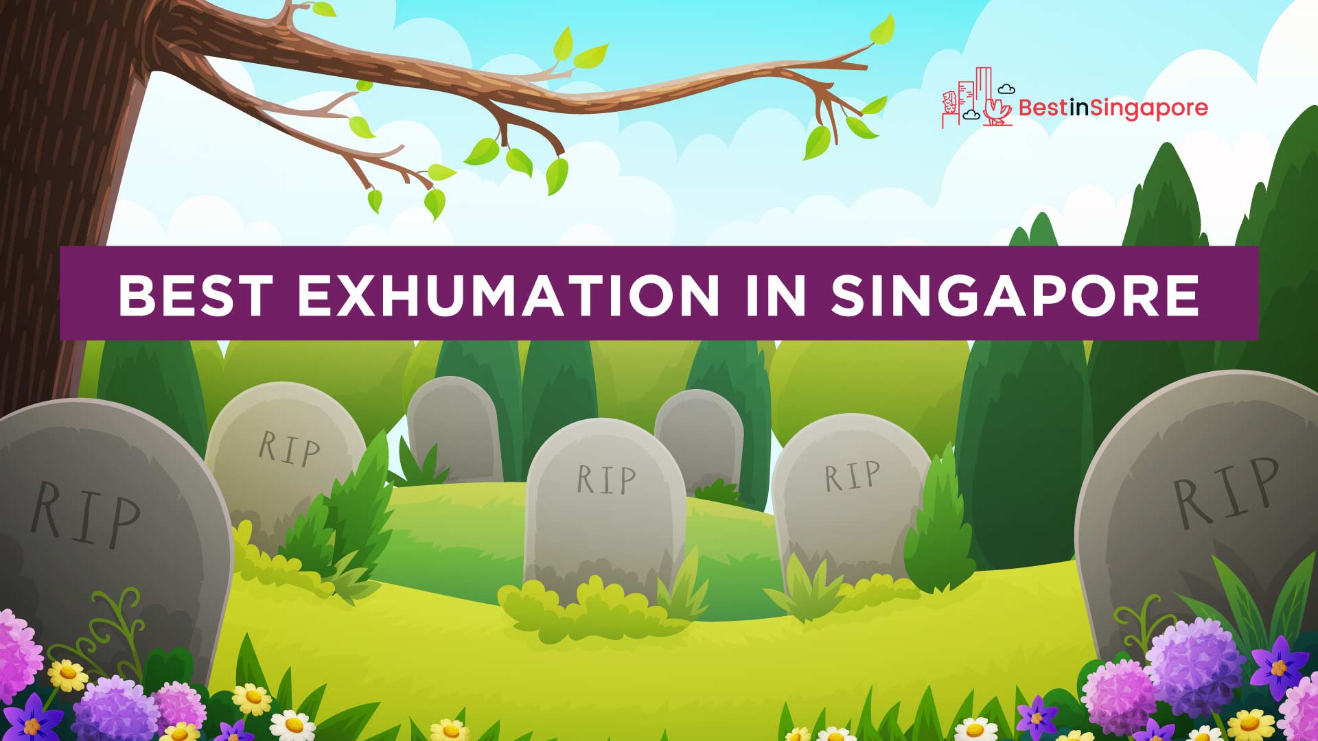 Best Exhumation in Singapore