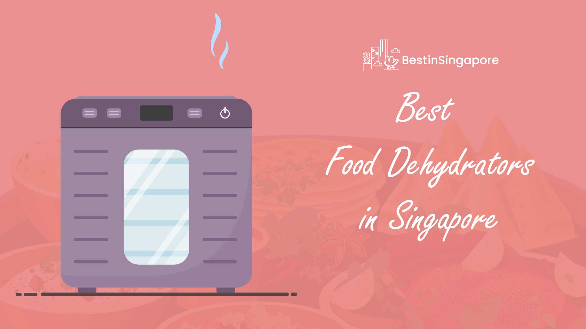 Best Food Dehydrators in Singapore