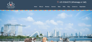 Dogs on Board!'s Homepage