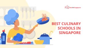 Best Culinary Schools in Singapore