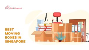Best Moving Boxes in Singapore