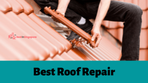 Best Roof Repair in Singapore