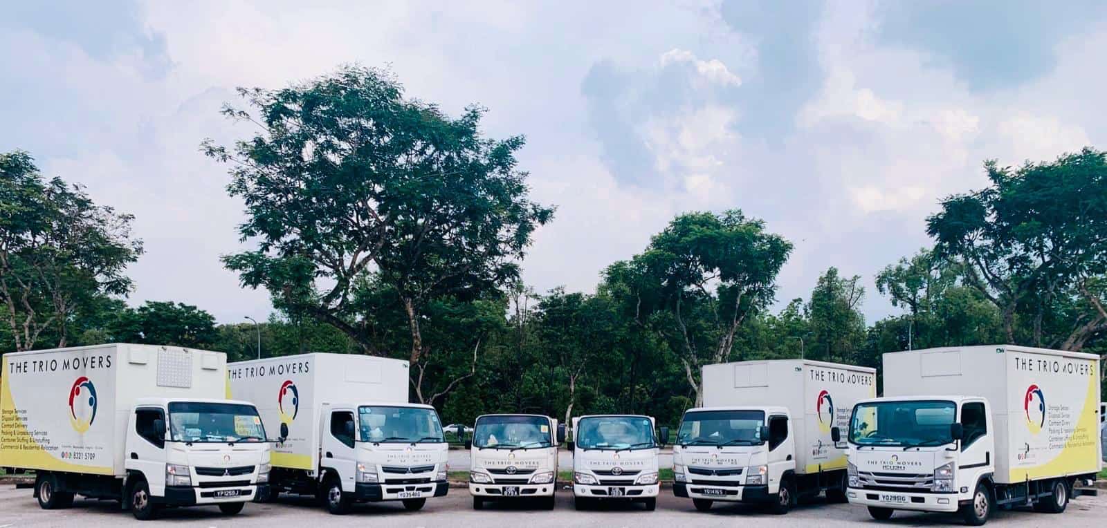 The Trio Movers' Team