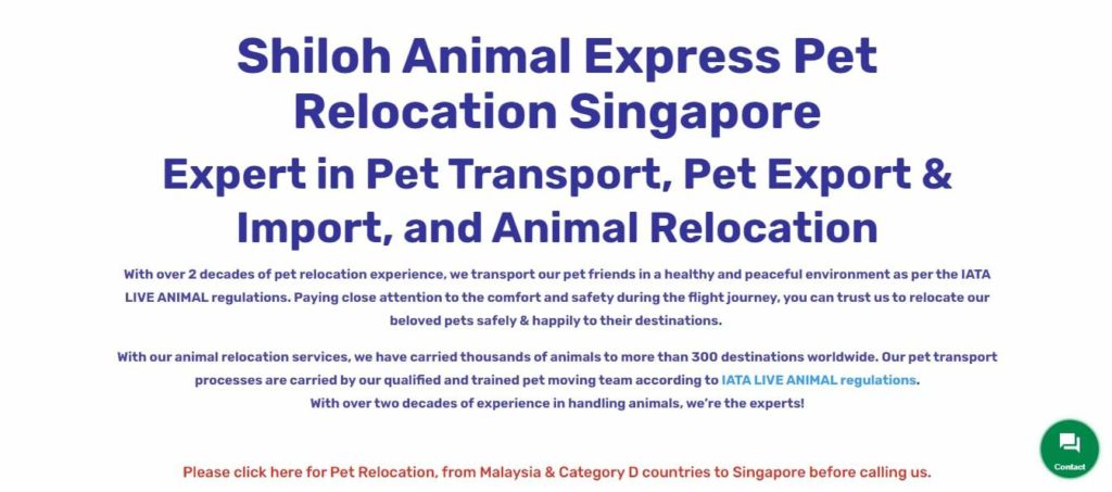 The 5 Options for the Best Pet Relocation in Singapore [2022 ]