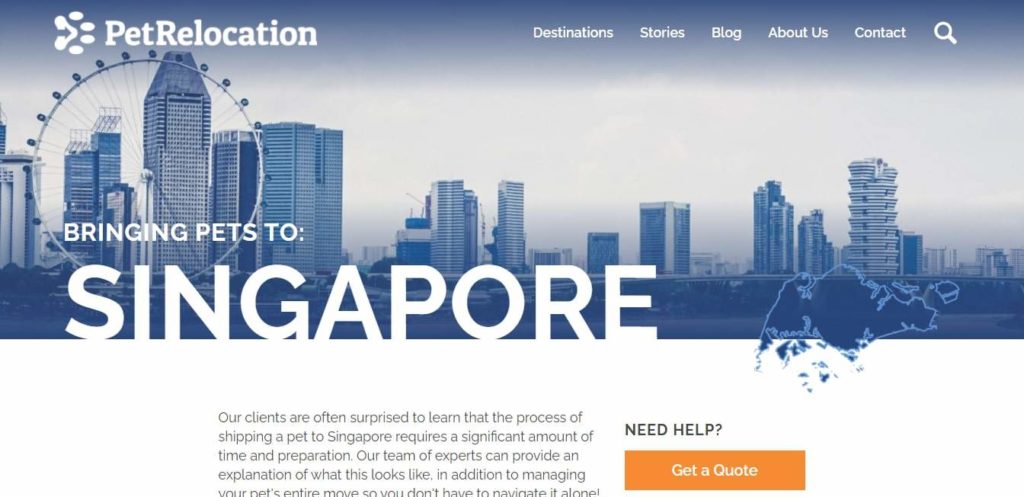 The 5 Options for the Best Pet Relocation in Singapore [2022 ]