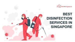 Best Disinfection Services in Singapore