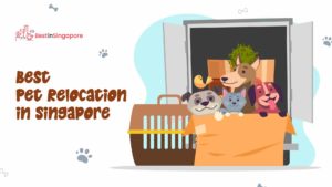Best Pet Relocation in Singapore