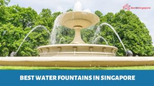 Best Water Fountain in Singapoore