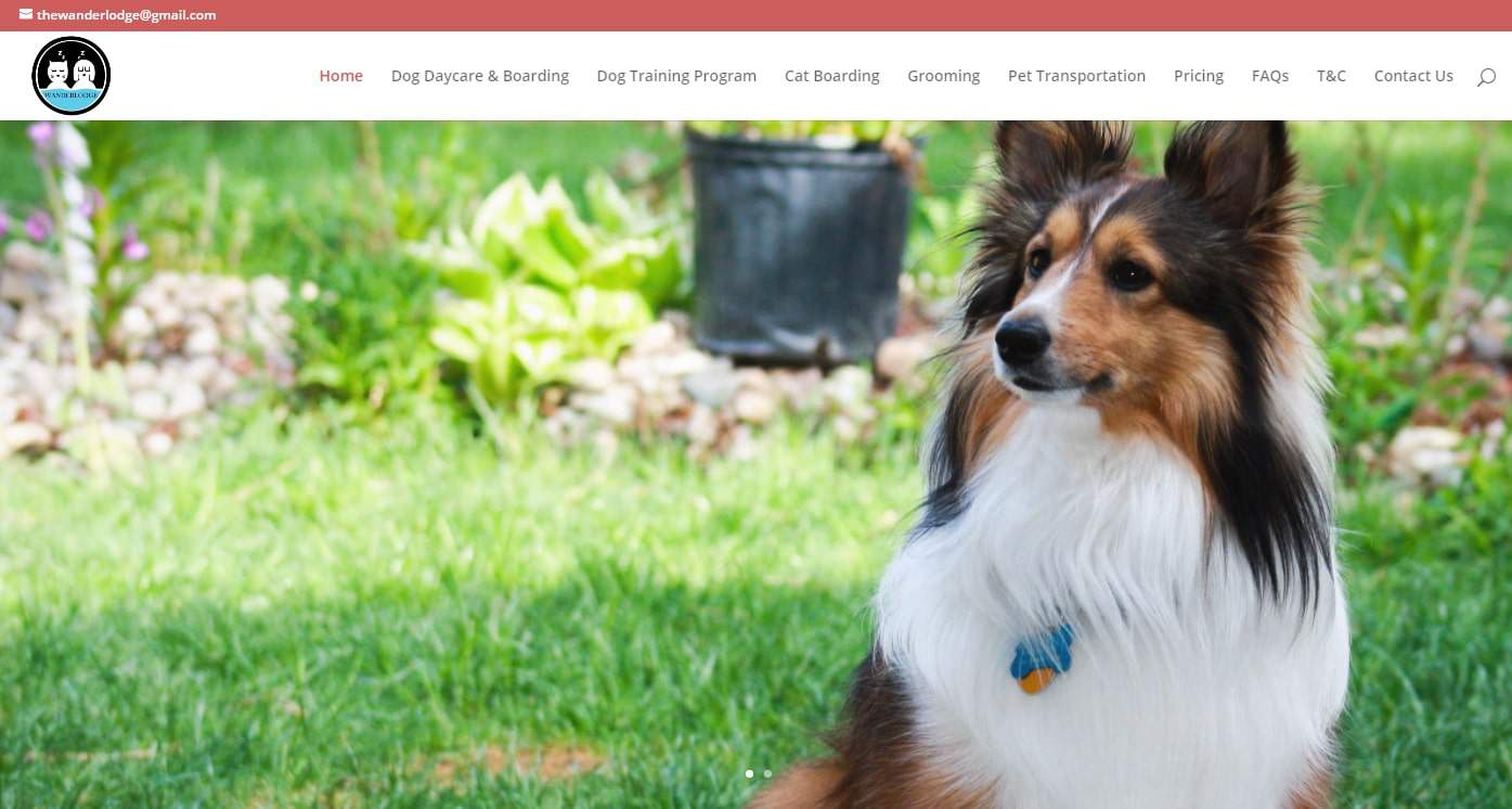 dog boarding for small dogs near me