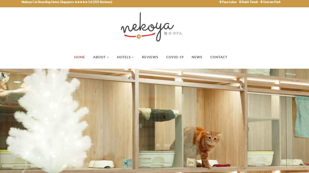 Nekoya's Homepage